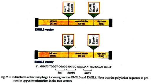 Bacteriphage λ Cloning Vectors EMBL3 and EMBL4