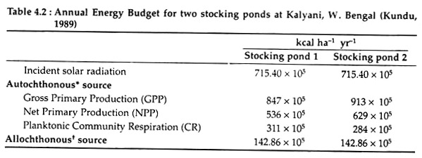 Annual Energy Budget