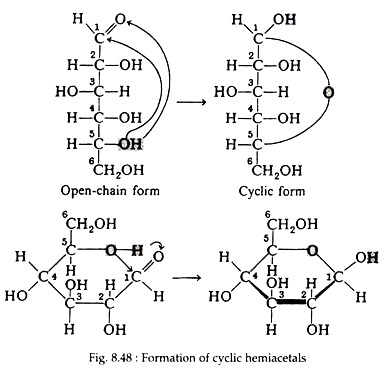 Formation of Cylic Hemiacetals