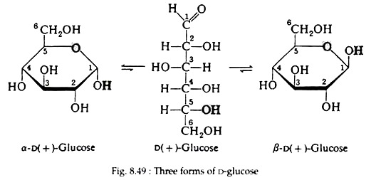 Three Forms of D-Glucose