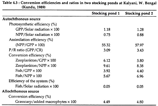 Conversion Efficiencies and Ratios