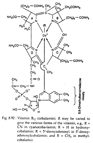 Vitamin B12