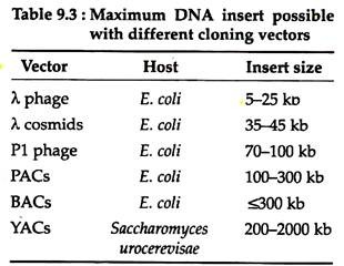 Maximum DNA Insert Possible