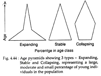 Age Pyramids