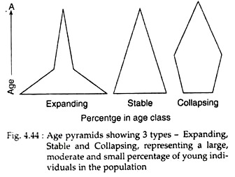 Age Pyramids