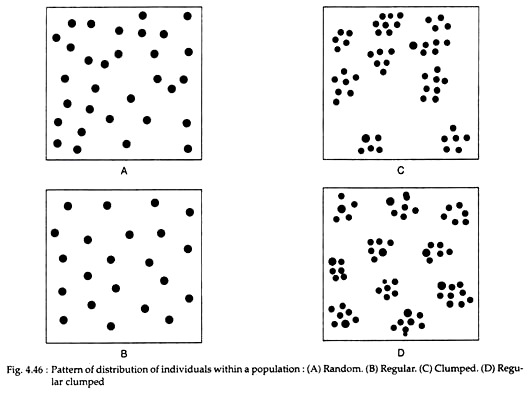 Pattern of Distribution of Individuals within a Population