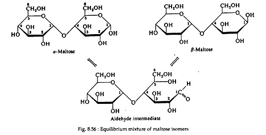 Equilibrium Mixture of Maltose Isomers