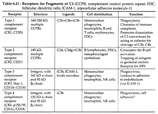 Receptors for Fragements of C3