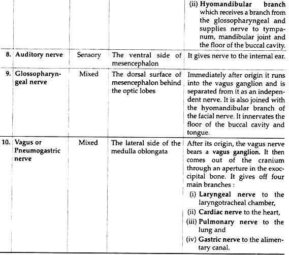 Origin and distribution of the cranial nerves in toad