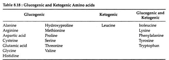 Glucogenic and Ketogenic Amino Acids