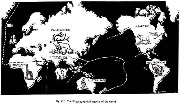 Biogeographical Regions of the World