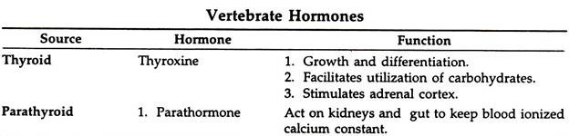 Vertebrate Hormones