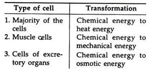 Energy Transformation in Living Cells 