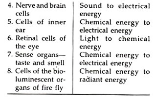 Energy Transformation in Living Cells 