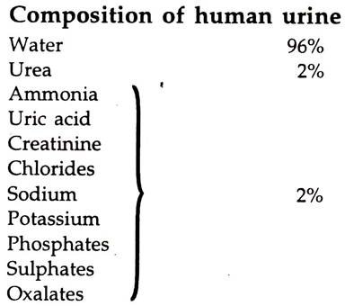 Composition of Human Urine