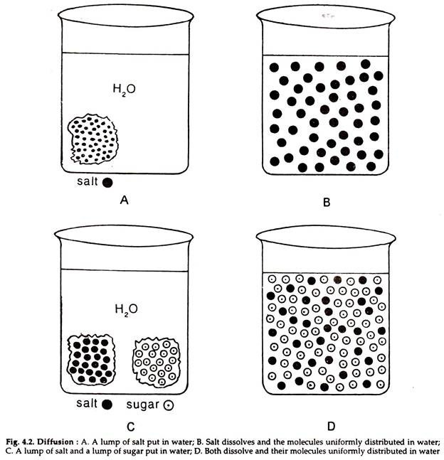 Diffusion 