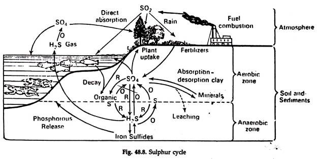 Sulphur Cycle