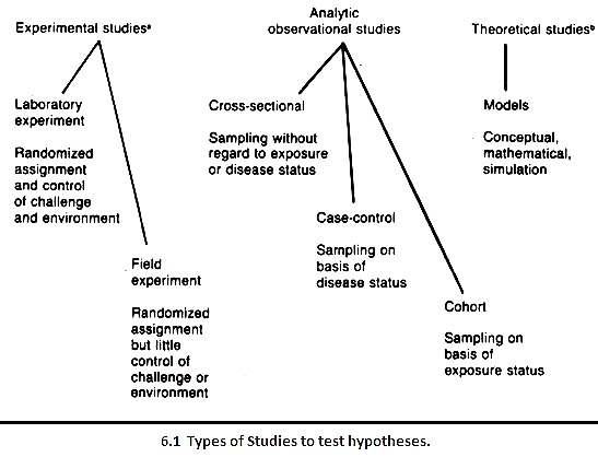 Types of studies to test hypotheses