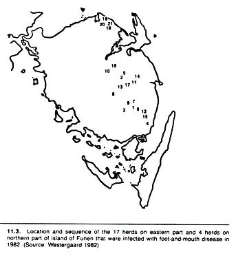 Location and sequence of the 17 herds on eastern part and 4 herds on northern part of island that were infected with foot and mouth disease in 1982