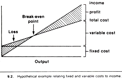 Hypothetical example relating fixed and variable costs to income