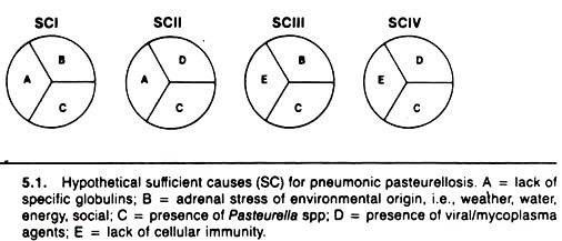 Hypothetical Sufficient Causes (SC) for Pneumonic Pasteurellosis