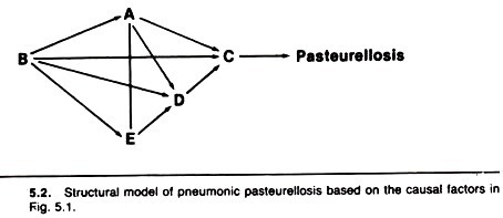 Structure Model of Pneumonic Pasteurellosis