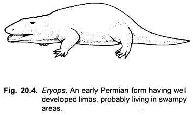 Eryops