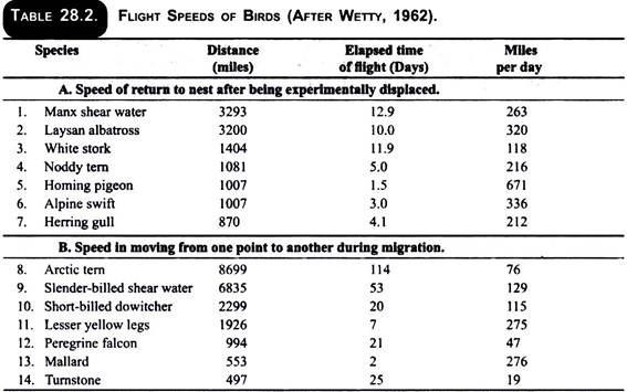 Flight Speeds of Birds