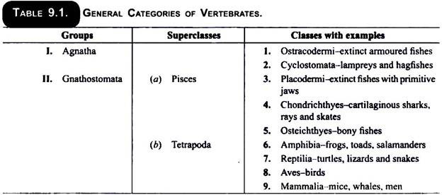 General Categories of Vertebrates