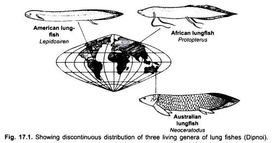Distribution of Three Living Genera of Lung Fishes
