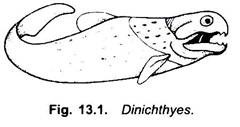 Dinichthyes 