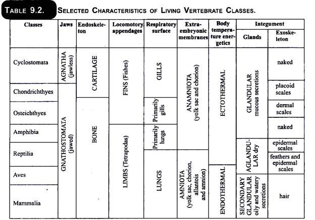 Selected Characteristics of Living Vertebrate Classes