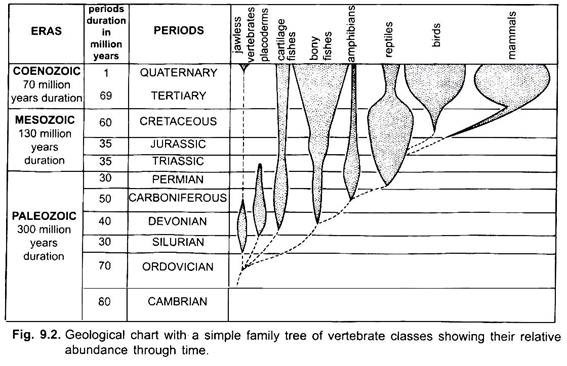Geological Chart with a Simple Family Tree of Vertebrate Classes Showing their Relative Abundance through Time