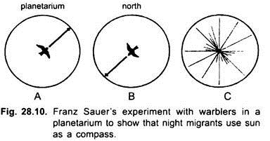 Franz Sauer's Experiment with Warblers