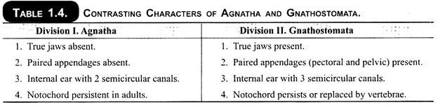 Contrasting Characters of Agnatha and Gnathostomata