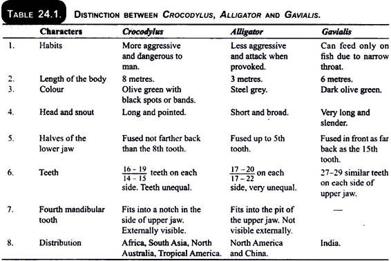 Distinction between Crocodylus, Alligator and Gavialis