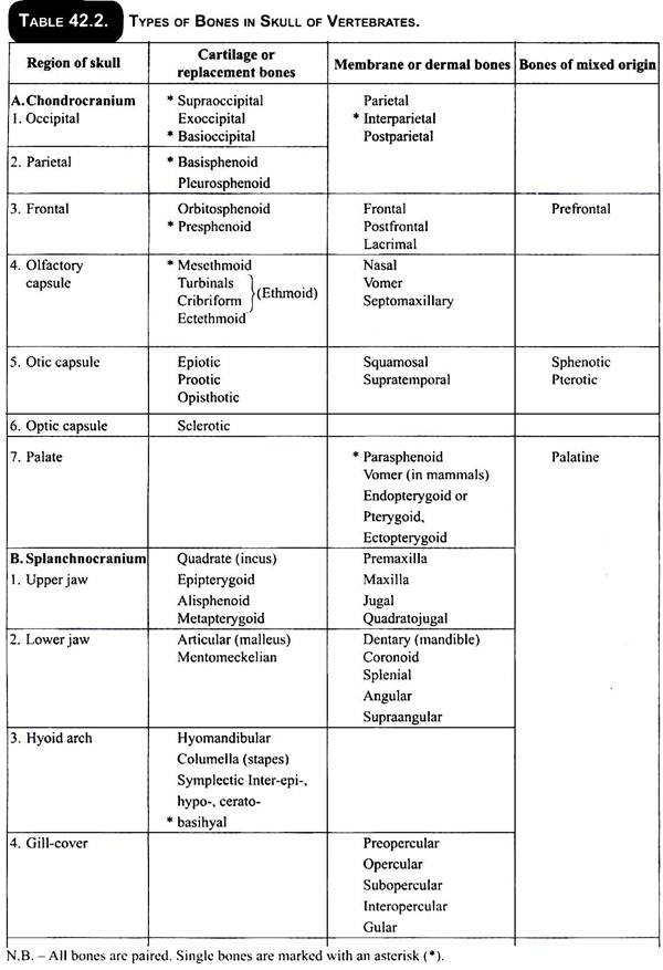 Types of Bones in Skull of Vertebrates