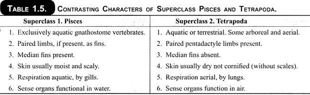 Contrasting Characters of Superclass and Tetrapoda