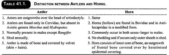 Distinction between Antlers and Horns