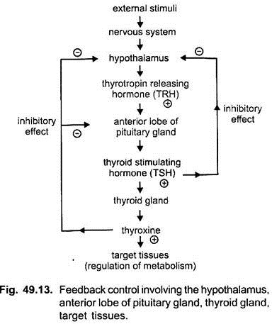 Feedback Control