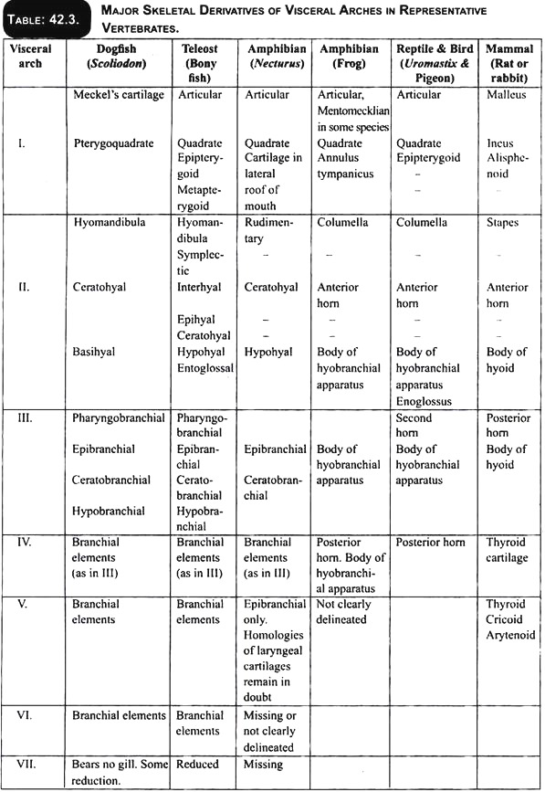Major Skeletal Derivatives of Visceral Arches in Representative Vertebrates