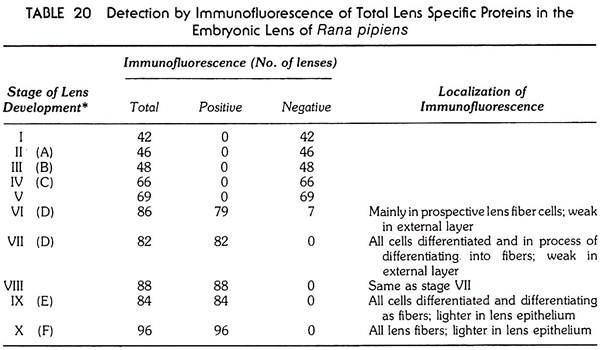 Detection by Immunofluorescence