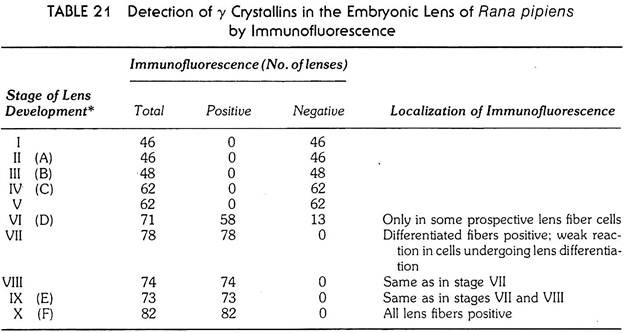 Detection of ϒ Crystallins 